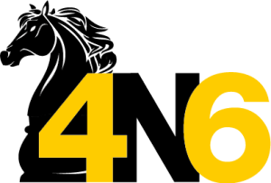 4n6 Logo